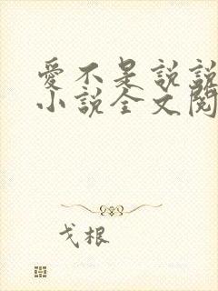 爱不是说说而已小说全文阅读