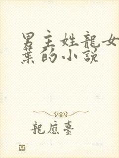 男主姓龙女主姓叶的小说