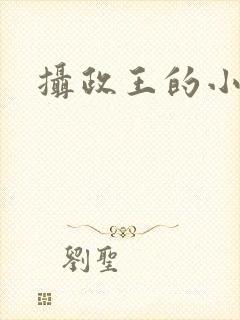 摄政王的小闲妻