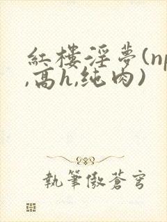 红楼淫梦(np,高h,纯肉)