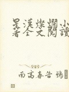 星汉灿烂小说原著全文阅读