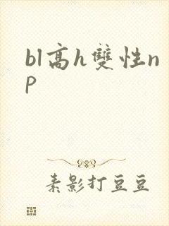 bl高h双性np封面