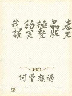 我的极品老婆小说完整版免费阅读全文