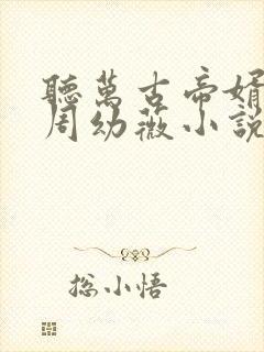 听万古帝婿夜玄周幼薇小说