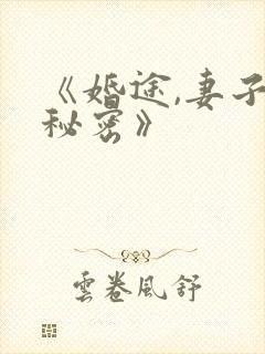 《婚途,妻子的秘密》