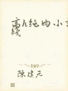 高h纯肉小说在线