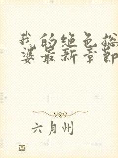 我的绝色总裁老婆最新章节封面