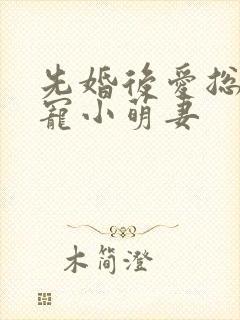 先婚后爱总裁蜜宠小萌妻