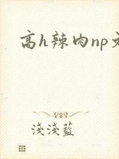 高h辣肉np文