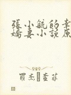 张小毓的幸福小娇妻小说原文封面