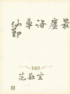 仙尊洛尘最新章节