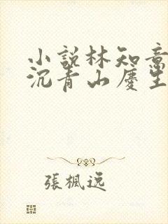 小说林知意,宫沉青山庆生封面