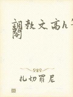 调教文高h笔趣阁