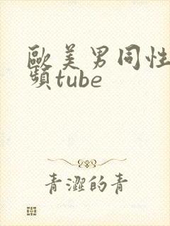 欧美男同性恋视频tube