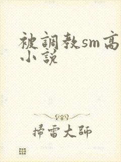 被调教sm高h小说