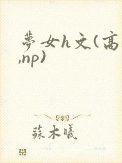梦女h文(高h,np)