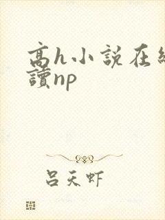 高h小说在线阅读np