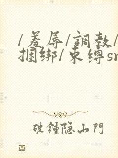 /羞辱/调教/捆绑/束缚sm