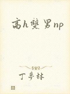 高h双男np
