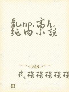 乱np,高h,纯肉小说