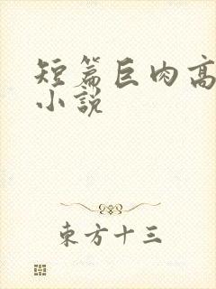 短篇巨肉高干文小说