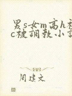 男s女m高h被c被调教小说封面