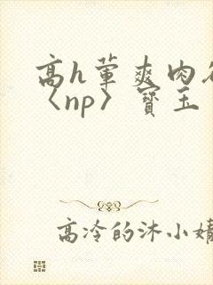 高h荤爽肉欲文〈np〉宝玉