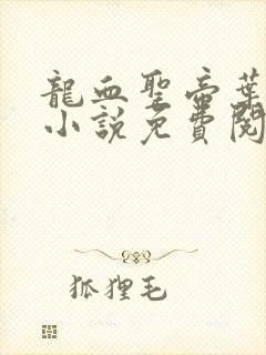 龙血圣帝叶无双小说免费阅读