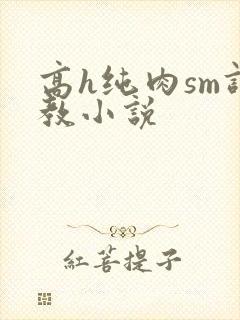 高h纯肉sm调教小说