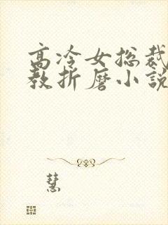 高冷女总裁被调教折磨小说