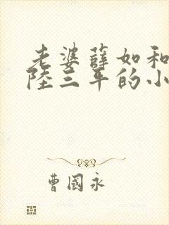 老婆薛如和养父陆三平的小说