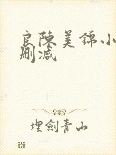 良陈美锦小说无删减