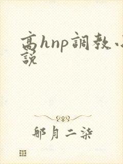 高hnp调教小说