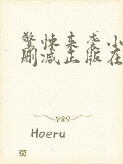 惊悚来袭小说无删减正版在线阅读