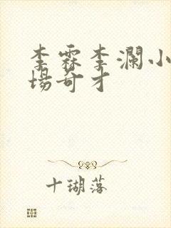 李霖李澜小说官场奇才封面