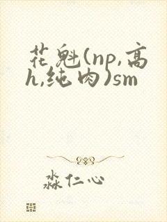 花魁(np,高h,纯肉)sm