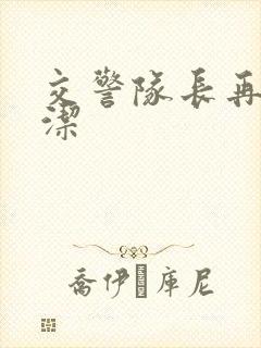 交警队长再遇白洁