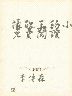 摄政王的小娇妃免费阅读