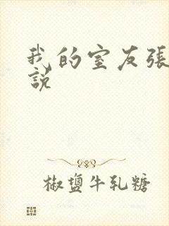 我的室友张辰小说