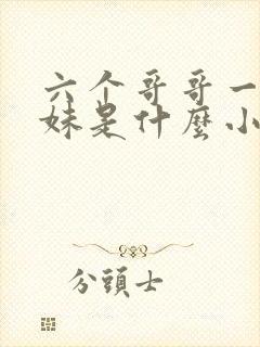 六个哥哥一个妹妹是什么小说