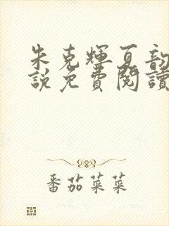 朱克辉夏韵瑶小说免费阅读最新章节封面