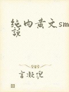 纯肉黄文sm小说