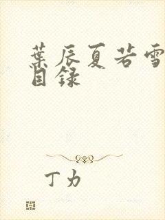 叶辰夏若雪孙怡目录