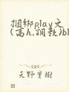 捆绑play文(高h,调教)bl