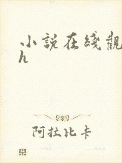 小说在线观看高h