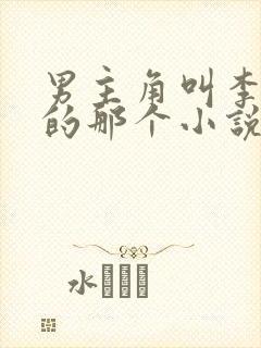 男主角叫李道风的那个小说