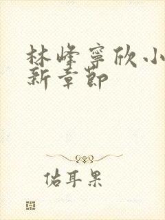 林峰宁欣小说最新章节