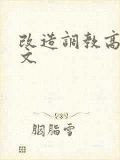 改造调教高h辣文封面