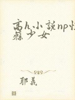 高h小说np性瘾少女