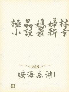 极品媳妇林小雅小说最新章节内容